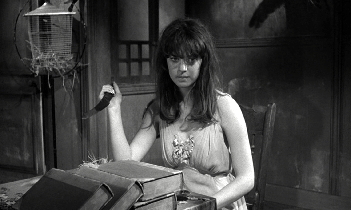 imdb_virginia_knife_spider_baby